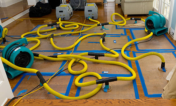 Professional Water Extraction technician working in San Juan Capistrano, CA